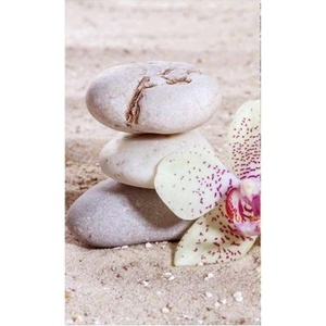 DIMEX ART Флизелинов фототапет дзен 150 x 250 см