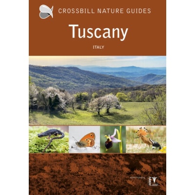 Tuscany - Graham Chisholm