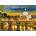 Enjoy - Puzzle Saint Peter's Basilica, Vatican - 1 000 piese