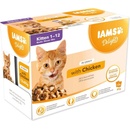 IAMS Delights Kitten kura v omáčke multipack 12 x 85 g