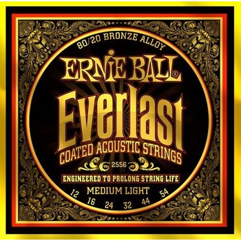 Ernie Ball 2556