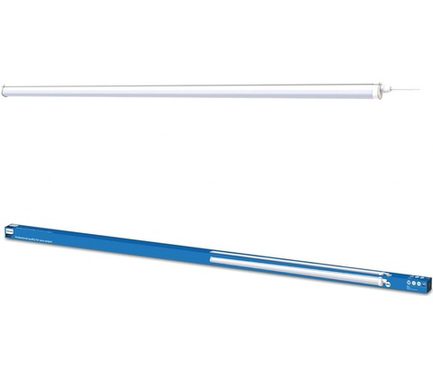 Philips P5956