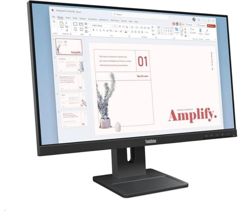 Lenovo ThinkVision E24-40