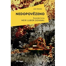 Nedopovězeno - Jan Černík