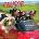 Willow Creek Press Calendars Crusoe the Celebrity Dachshund 2026 12 X 12 Wall Calendar