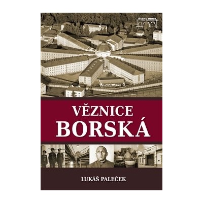 Věznice borská