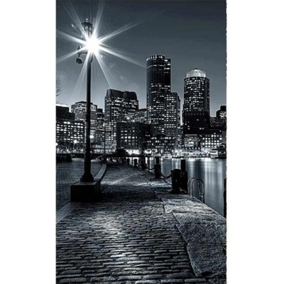 DIMEX ART Флизелинов фототапет бостън 150 x 250 см