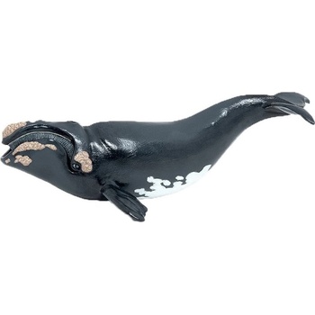 Image 1 of Papo Фигура Papo Marine Life - Гренландски кит (56057)