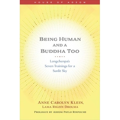 Being Human and a Buddha Too: Longchenpa's Seven Trainings for a Sunlit Sky Klein Anne