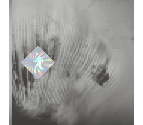 Discovery Zone - Quantum Web Vinyl LP