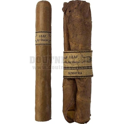 Leaf by Oscar Sumatra Sixty