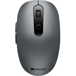 CANYON MW-9 (CNS-CMSW09DG)