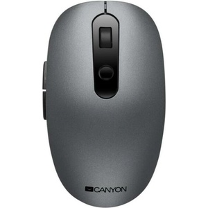 CANYON MW-9 (CNS-CMSW09DG)