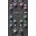 Solid State Logic 500-Series
