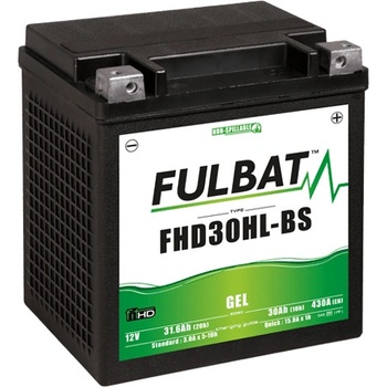 Fulbat FHD30HL-BS GEL