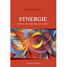 Synergie