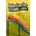 RolleCoaster Tycoon Classic
