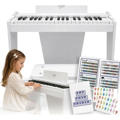 V-Tone PJR 50