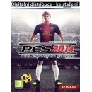 Pro Evolution Soccer 2014