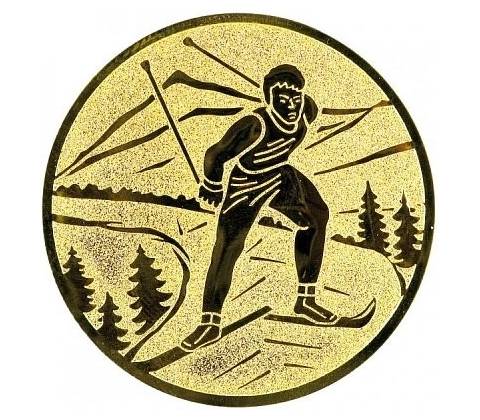 Emblém E159 lyže běžky