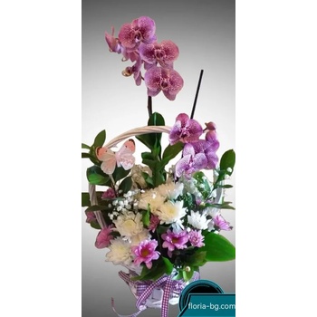 Image 1 of АРАНЖИРОВКА С ОРХИДЕЯ И ХРИЗАНТЕМА