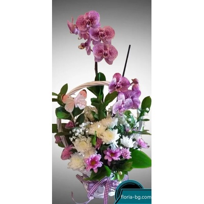АРАНЖИРОВКА С ОРХИДЕЯ И ХРИЗАНТЕМА