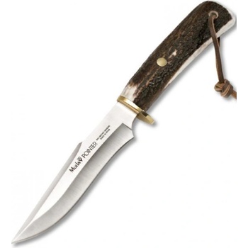Muela Pointer 13 A
