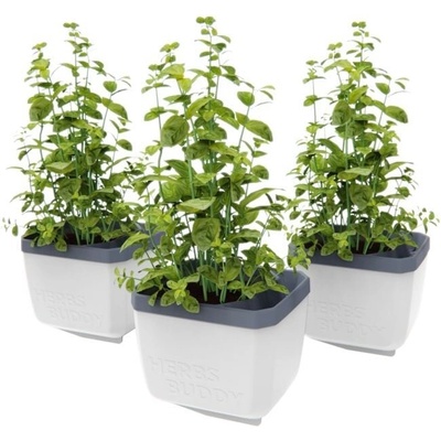 Gusta Garden GG-124F11