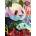 Anatolian - Puzzle Rainbow Panda - 1 000 piese