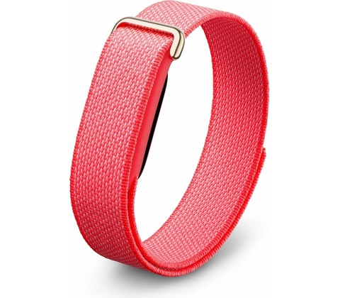 Google Fitbit Air