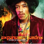 The Jimi Hendrix Experience - Experience Hendrix: The Best Of (CD) (0886976215729)