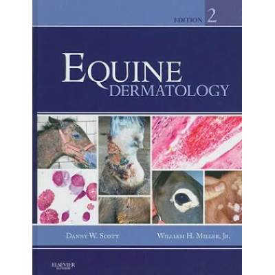 Equine Dermatology | Danny Scott