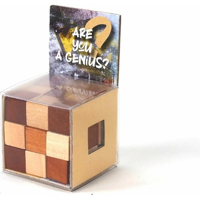 Recenttoys Hlavolam - Are you a Genius