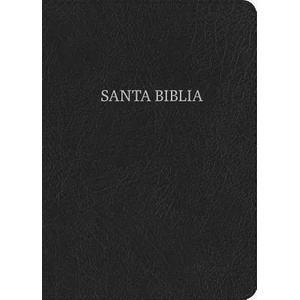 NVI Biblia Letra Súper Gigante Negro, Piel Fabricada | B&amp; h Espanol Editorial (ISBN: 9781462799312)