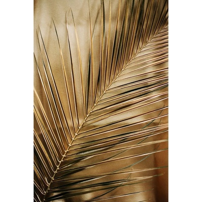 Styler Gold Palm obraz béžová