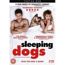 Sleeping Dogs DVD
