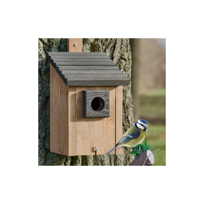 Braun Grau Ptačí budka 334 – Zboží Dáma