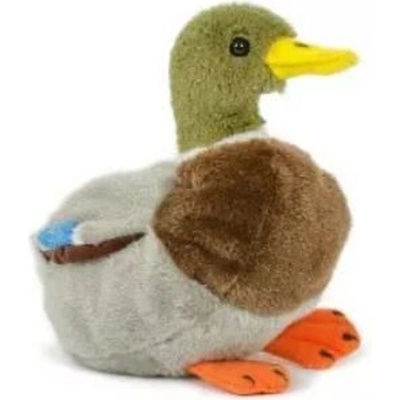 Kačer kachny divoké 18 cm