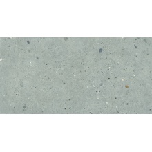 Provenza Alter Ego grigio 60 x 120 cm EGP1 1,44m²