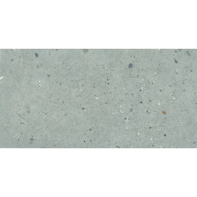 Provenza Alter Ego grigio 60 x 120 cm EGP1 1,44m²