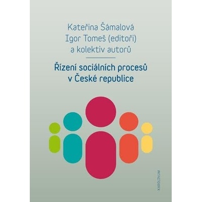 Řízení sociálních procesů v České republice