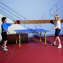 Cornilleau Hobby Mini indoor