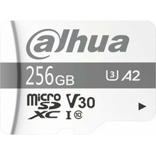 Dahua Technology TF-P100 MicroSDXC 256 GB TF-P100-256G