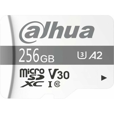 Dahua Technology TF-P100 MicroSDXC 256 GB TF-P100-256G