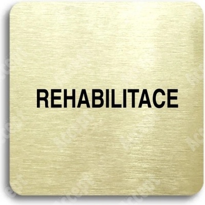 ACCEPT Piktogram rehabilitace - zlatá tabulka - černý tisk bez rámečku