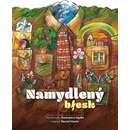 Knihy Namydlený blesk - Daniel Hevier