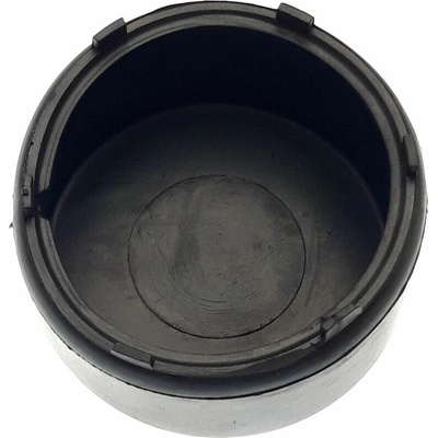 CAP SWINGARM PIVOT 20715