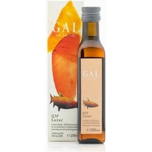 GAL Lososový olej s koenzýmom Q10 3300 mg Omega 3 + 100 mg Q10 250 ml