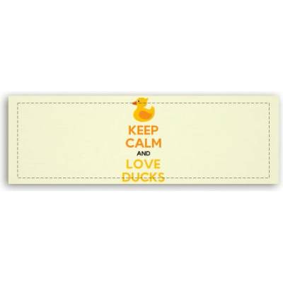 Fotoobraz 150x55 cm panorama Keep calm and love ducks