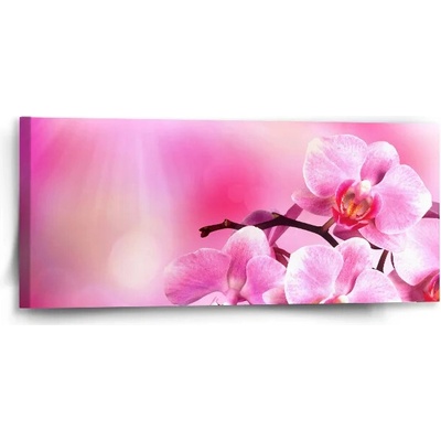 Sablio Obraz Kvety orchidey - 110x50 cm
